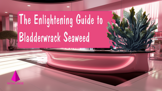 The Enlightening Guide to Bladderwrack Seaweed in Skincare